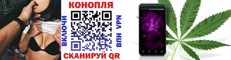 Галлюциногенные грибы Тула