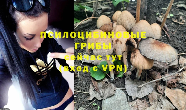 кокс Абинск